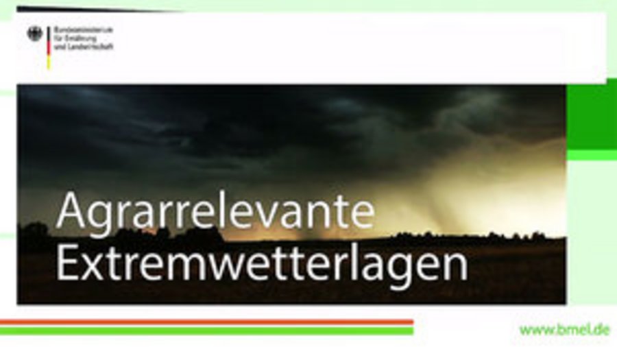 Startbild des Videos Extremwetterlagen